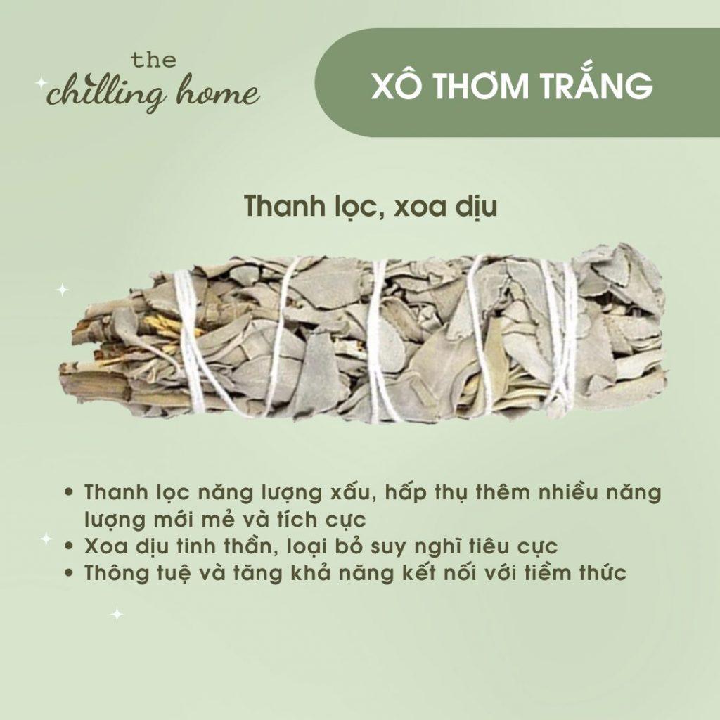 Xô Thơm Trắng (White Sage) The Chilling Home
