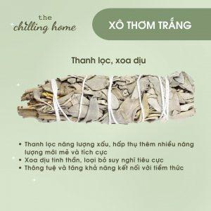 Xô Thơm Trắng (White Sage) The Chilling Home