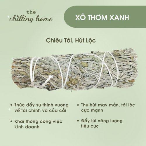 Xô thơm xanh (Blue Sage) Chiêu tài lộc - Hút may mắn