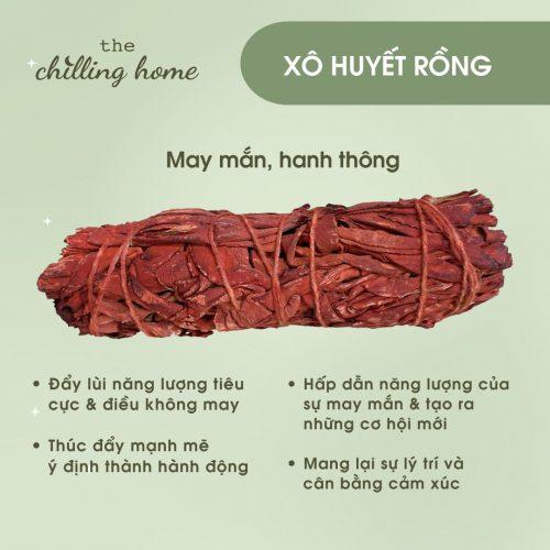 Xô thơm huyết rồng (Dragon’s blood Sage) thanh tẩy mạnh mẽ và hút may mắn