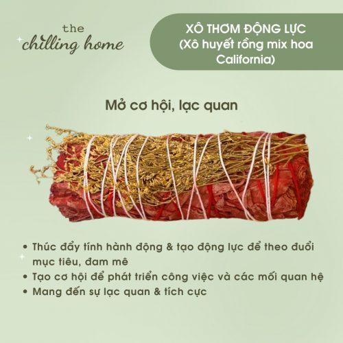 Xô thơm Động Lực (Xô huyết rồng mix hoa California) tăng sức mạnh ý chí theo đuổi đam mê