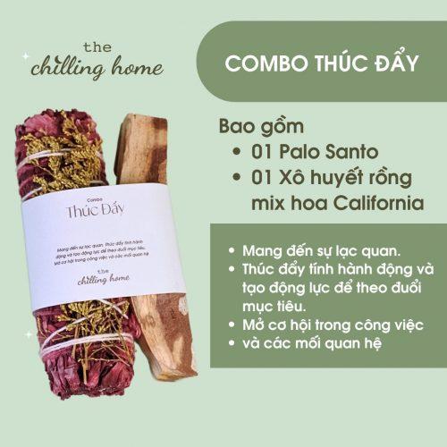 Combo Thúc Đẩy cơ hội và nâng cao lý trí (Xô Động Lực & Gỗ Trắc Xanh)